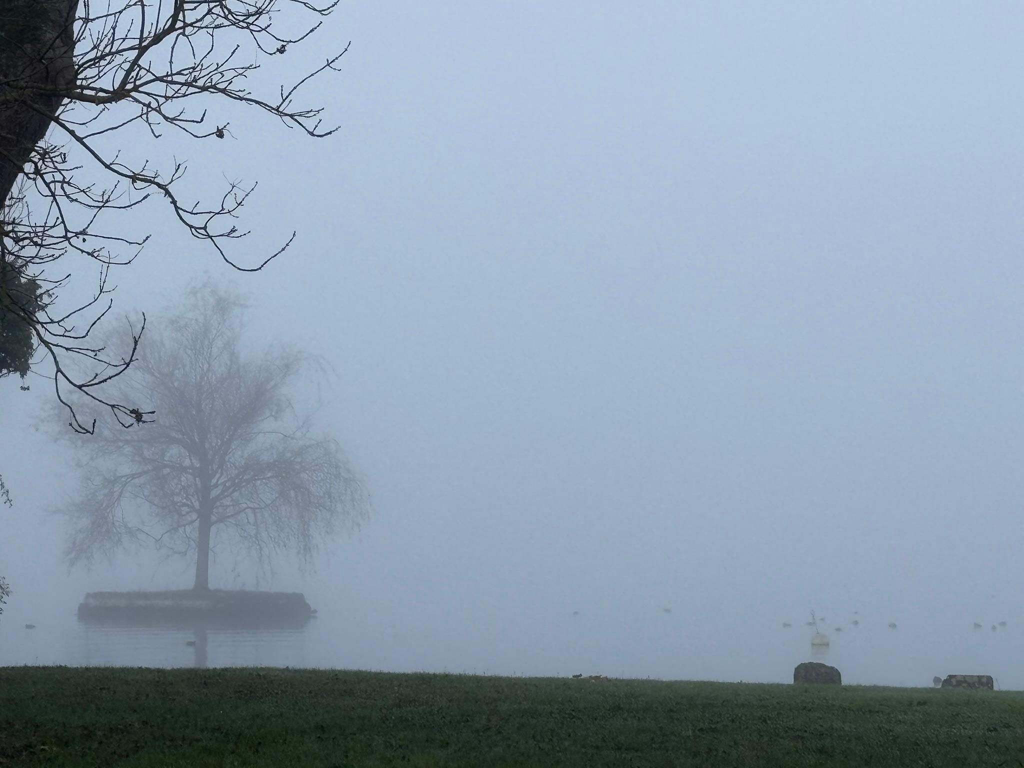 Kennst du das, deine Bedürfnisse zu relativieren?