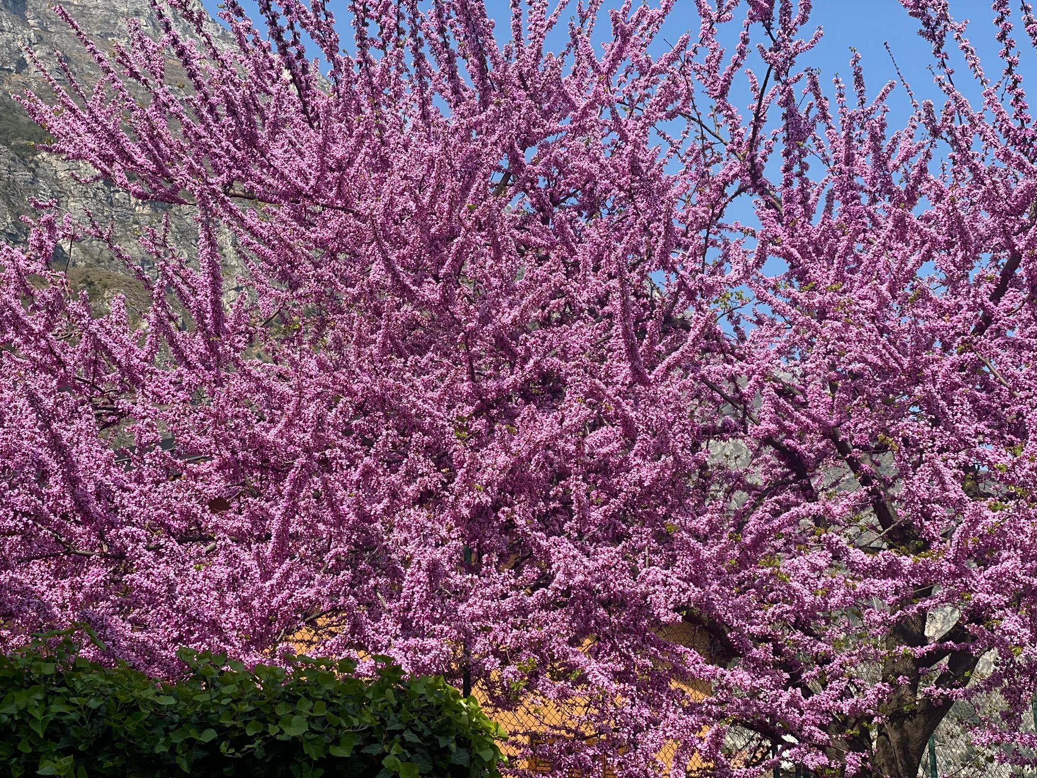 Tantra Yoga – Weisheit für ein bewusstes Leben und erfüllte Beziehungen