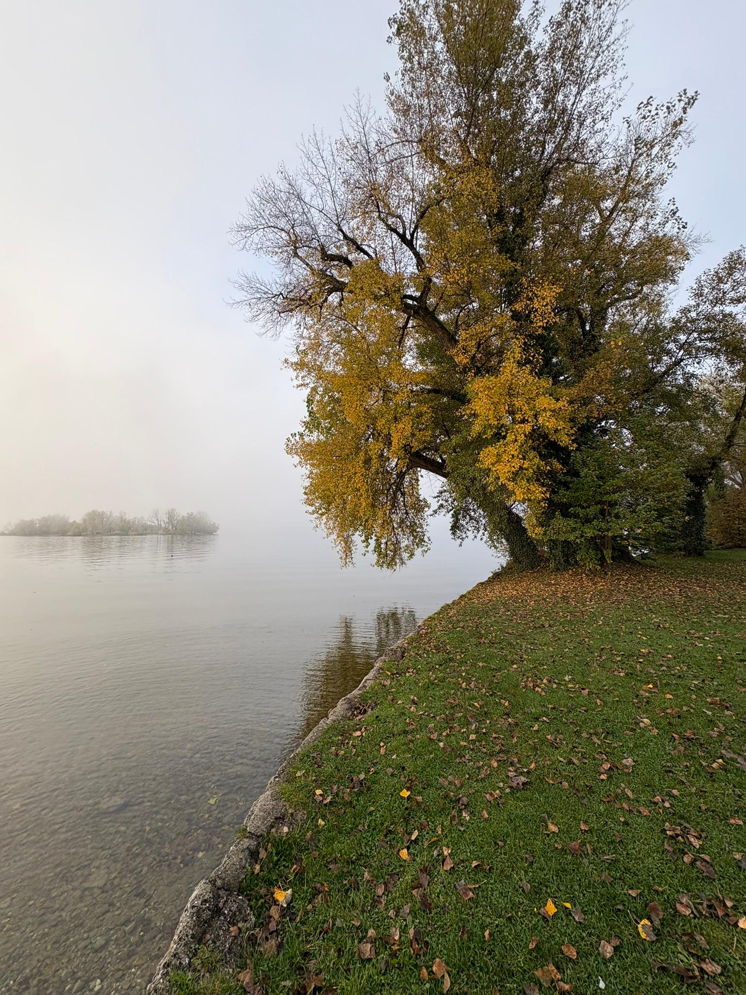 Loyalität zur Herkunftsfamilie: Zwischen Bindung und eigenem Wachstum