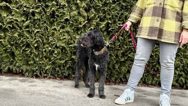 Überverantwortung – Wenn Fürsorge zur Last wird